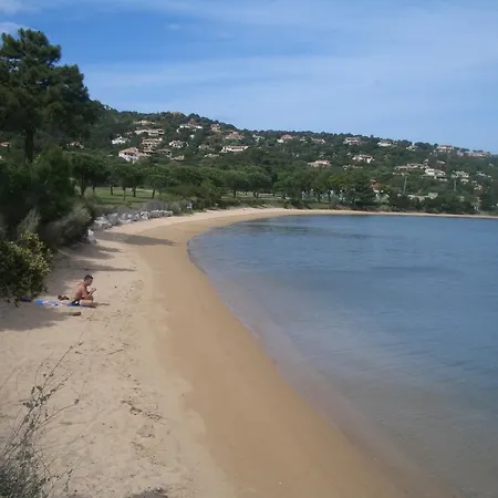 Studio 2p Pieds Dans L Eau 公寓 维琪奥港